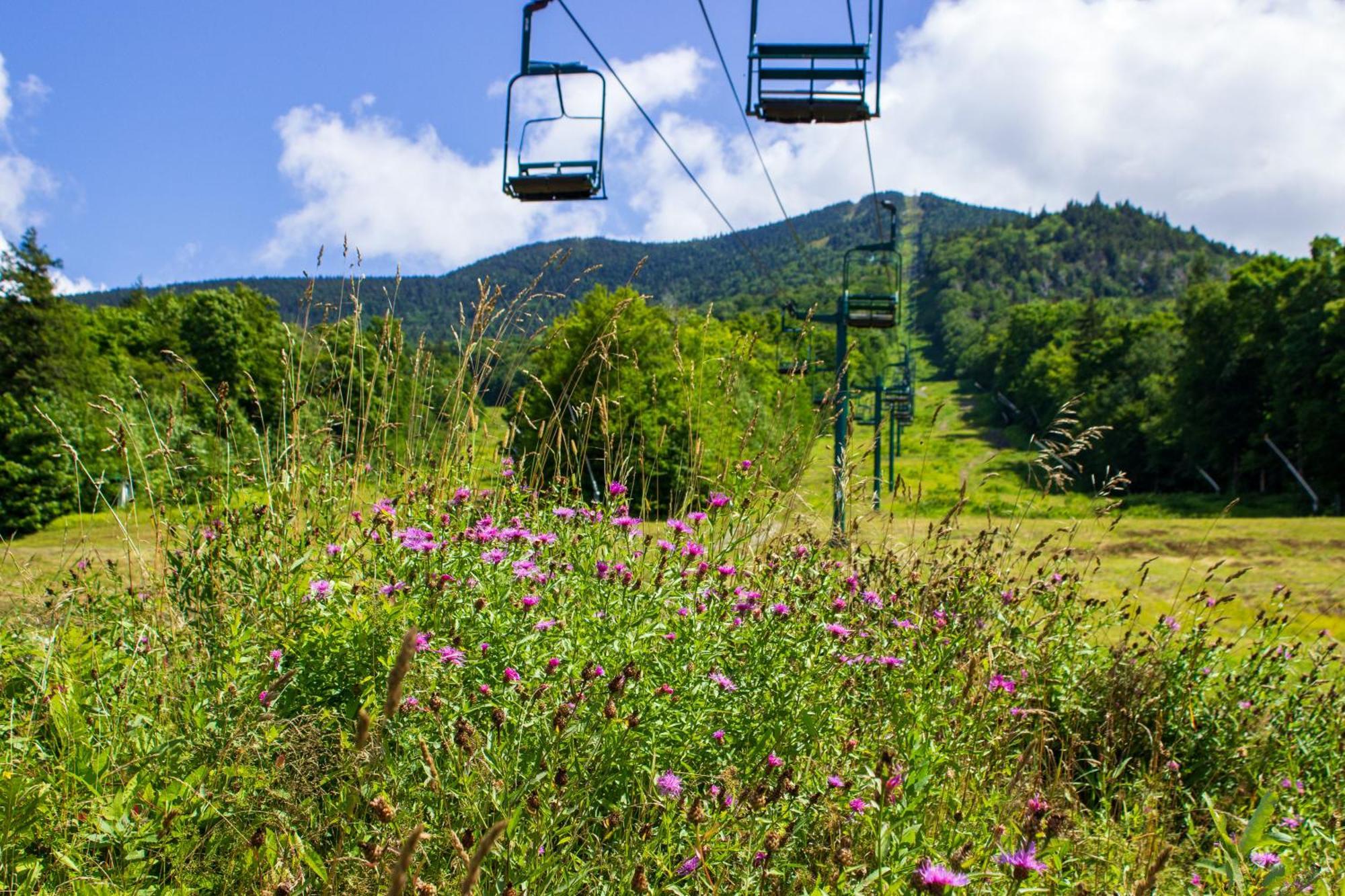 Smugglers' Notch Resort Private Suites Cambridge Екстер'єр фото